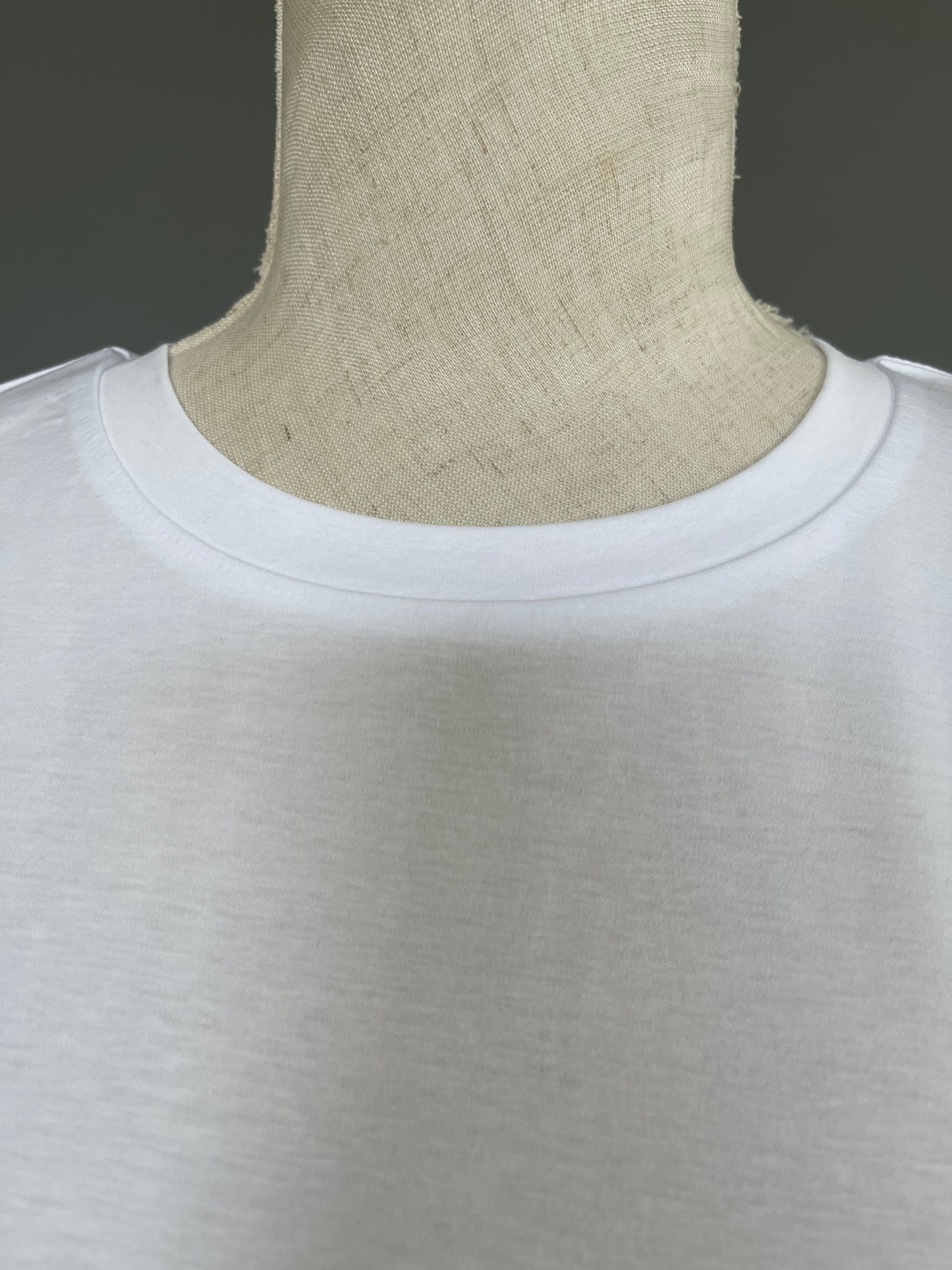 PLUS PLUS(プラスプラス) Tシャツ半 553415