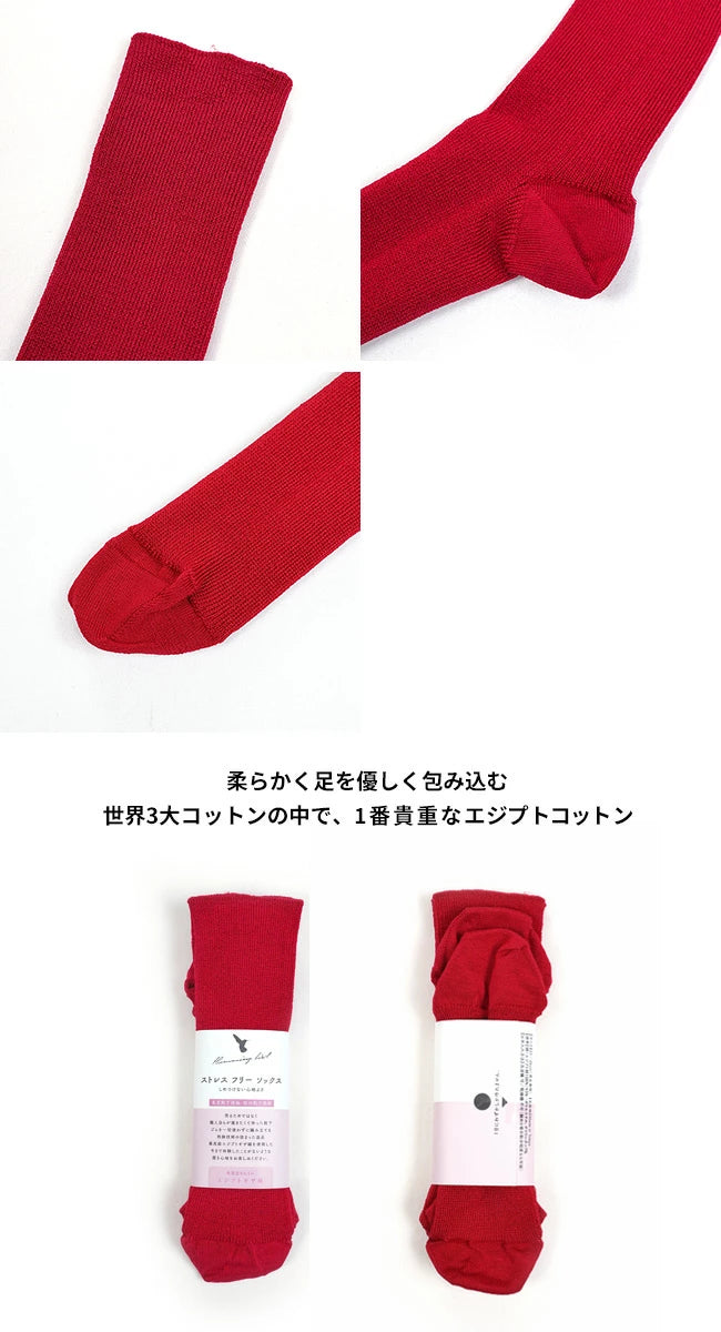 hummingbird(ハミングバード) ストレスフリーソックス　Sサイズ(22～26cm) 620103