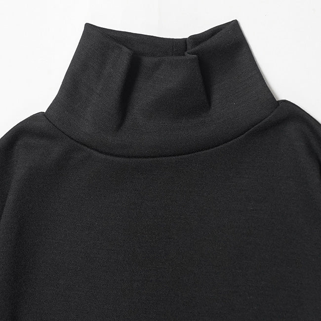 hummingbird(ハミングバード) スーパーウール120 クリアスムースハイネック AIO0114